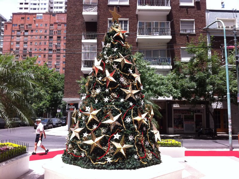 Happy Put Up Your Christmas Tree Day!