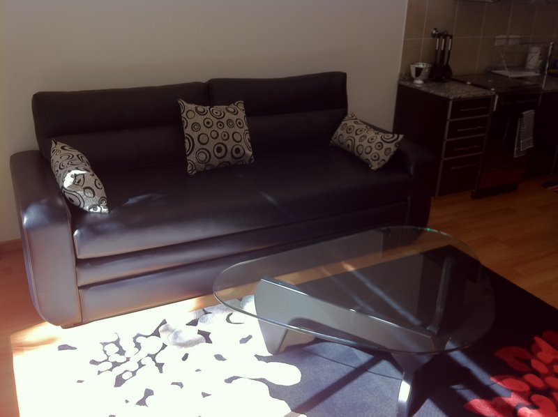 Couch with pull out bed