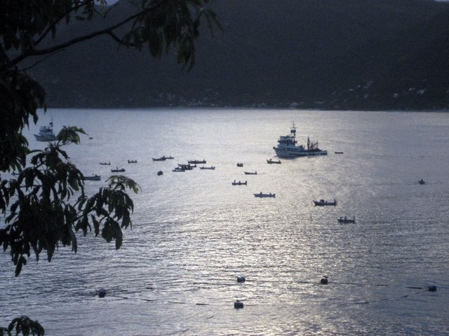 img_1797.jpg